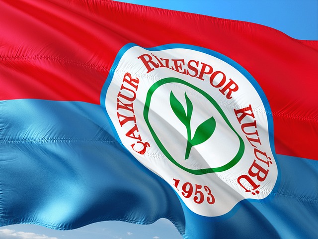 增添了不少 增添了不少