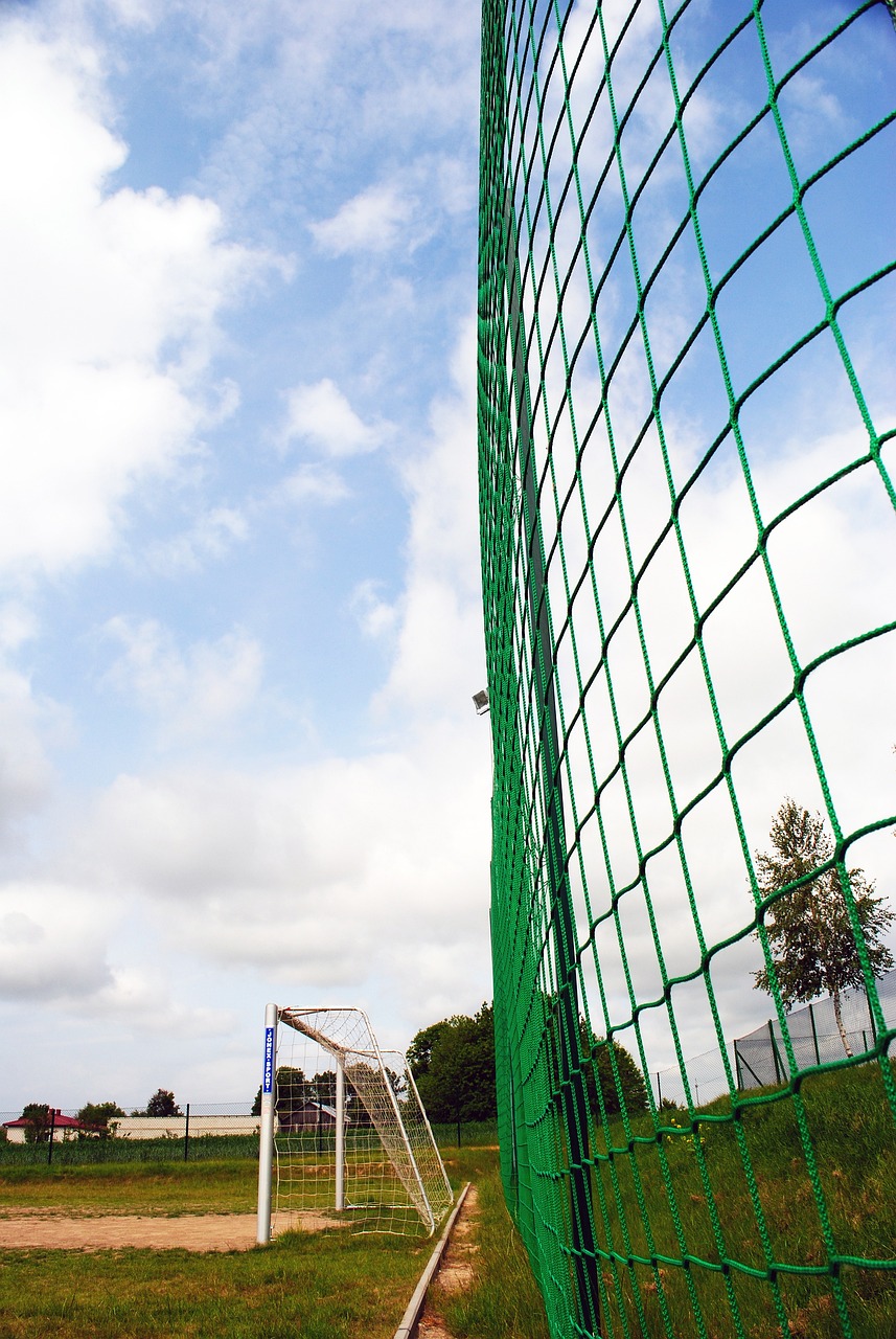 的薪资待遇 的薪资待遇