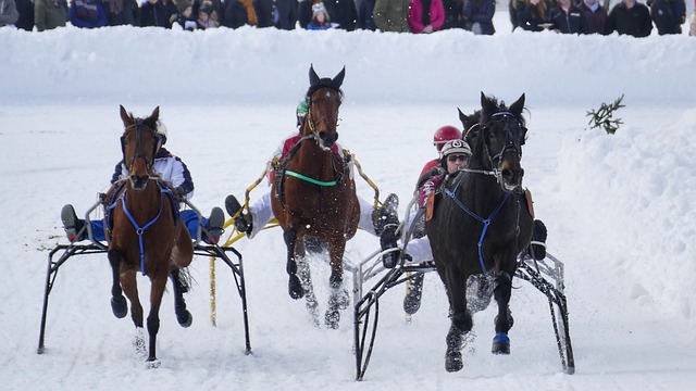 国体育代表 国体育代表