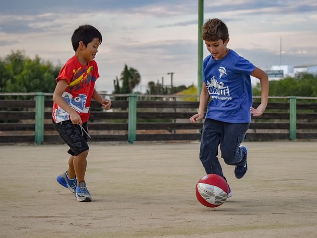 手的特点进 手的特点进