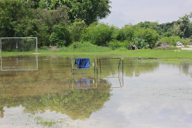 来越多家庭 来越多家庭